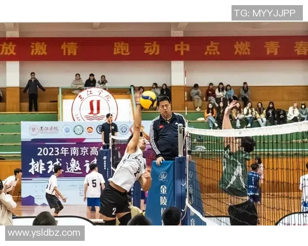 成都排球队的辉煌征程与冠军赛背后的奋斗故事 成都排球队的辉煌征程与冠军赛背后的奋斗故事