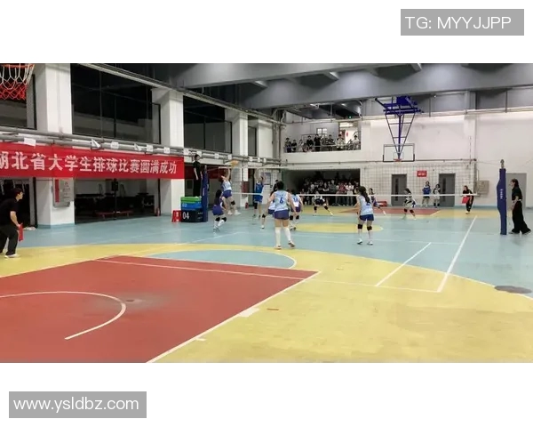 武汉排球队在洲际杯中的心理素质表现分析与启示 武汉排球队在洲际杯中的心理素质表现分析与启示