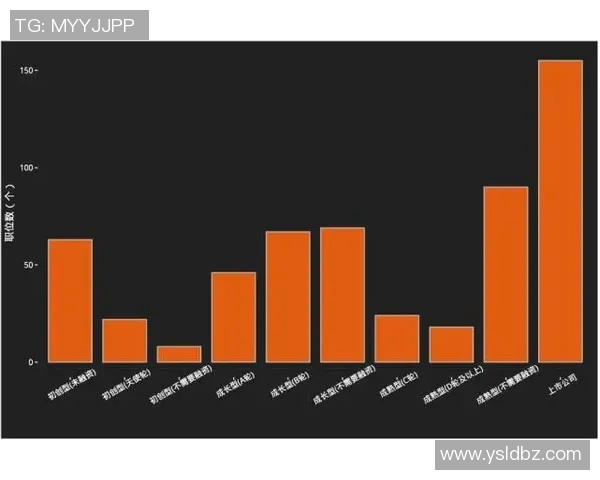 独家分析:深圳篮球队的配合对比 独家分析:深圳篮球队的配合对比